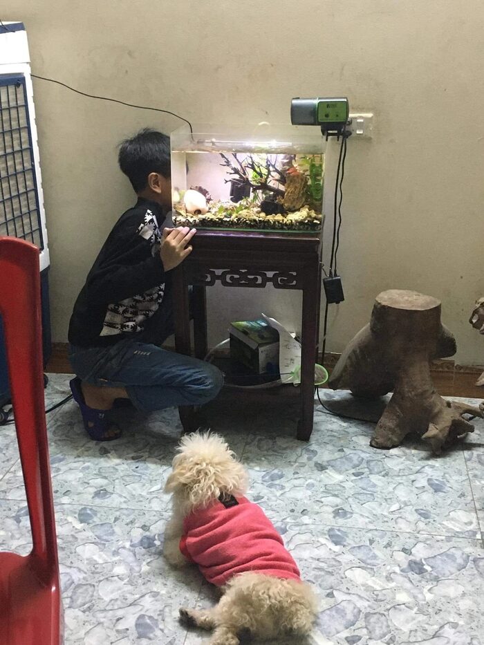 Cậu bé đã gây ra một Cậu bé đã gây ra một