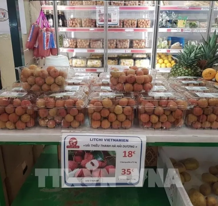 Đắt nhất 650.000 đồng/kg: giật mình giá vải thiều Việt Nam ở nước ngoài - 1 Đắt nhất 650.000 đồng/kg: giật mình giá vải thiều Việt Nam ở nước ngoài - 1