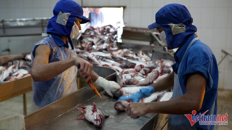 Giá lên đỉnh, thu tiền nhiều nhất lịch sử: Món hàng Việt gặp thời trên đất Mỹ - 1 Giá lên đỉnh, thu tiền nhiều nhất lịch sử: Món hàng Việt gặp thời trên đất Mỹ - 1