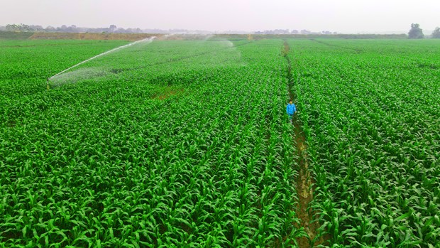 Được đánh giá cao về 'E-S-G', Vinamilk nhận giải Phát triển Bền vững 2022 - 5 Được đánh giá cao về 'E-S-G', Vinamilk nhận giải Phát triển Bền vững 2022 - 5