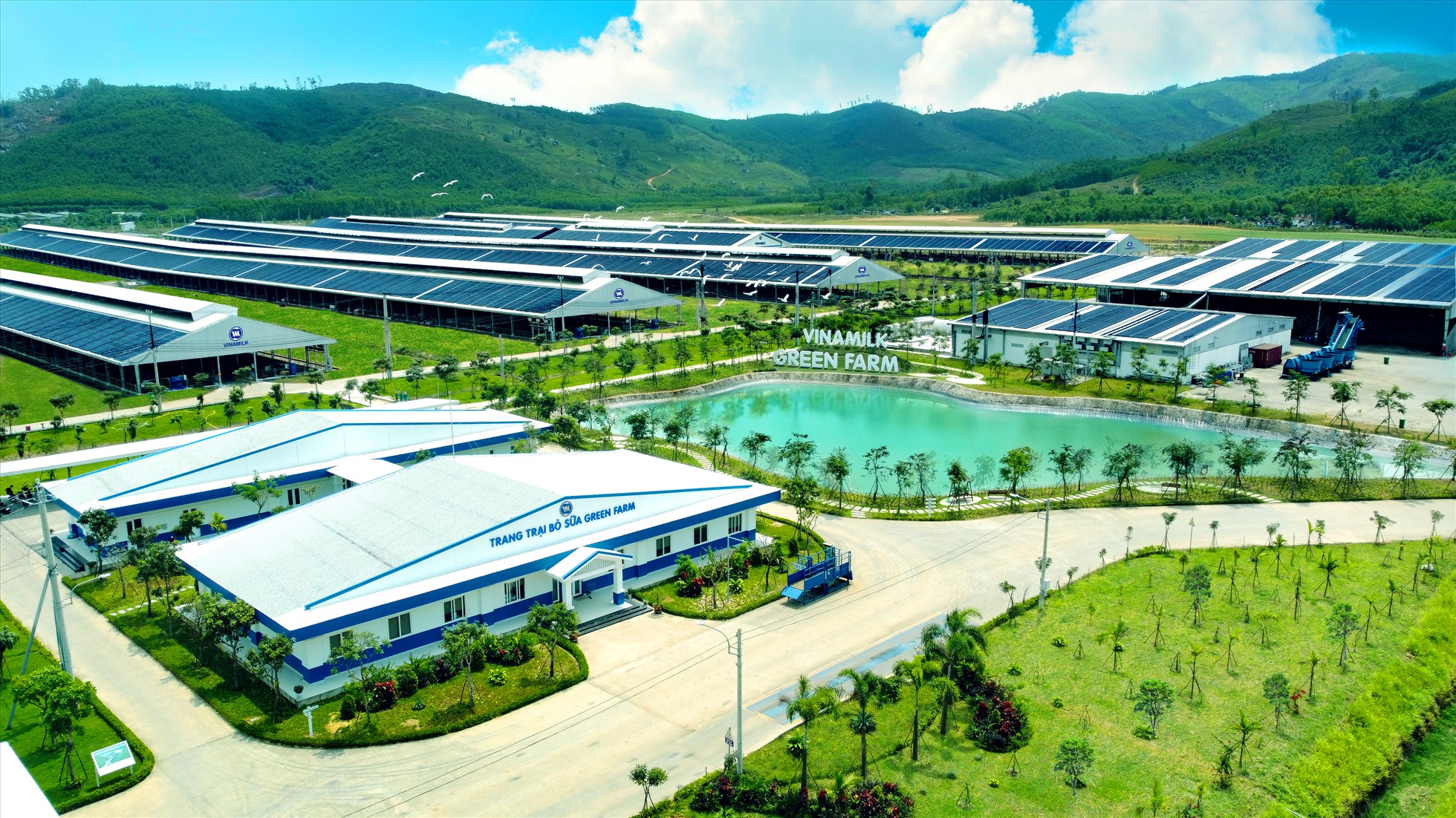 Vinamilk - 10 năm liền trong top 50 doanh nghiệp niêm yết tốt nhất của Forbes Việt Nam - 4 Vinamilk - 10 năm liền trong top 50 doanh nghiệp niêm yết tốt nhất của Forbes Việt Nam - 4