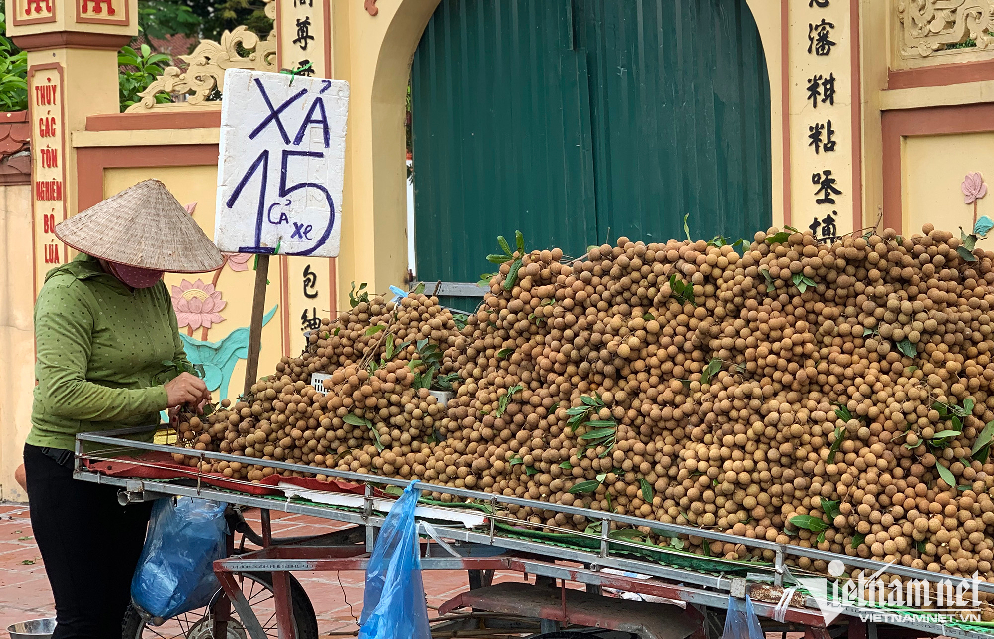 Nhãn ồ ạt xuống phố, giá rẻ bằng mớ rau muống Nhãn ồ ạt xuống phố, giá rẻ bằng mớ rau muống