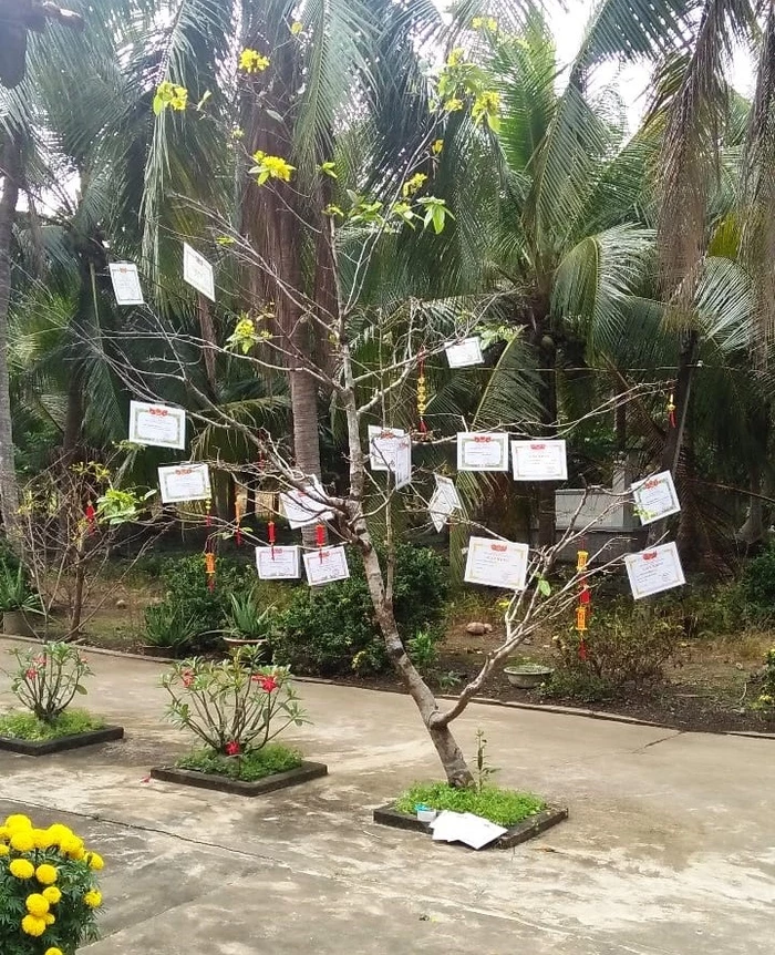 Hội học sinh trang trí mai đào ngày Tết, khách đến chơi nhà nhất định sẽ lì xì - 3 Hội học sinh trang trí mai đào ngày Tết, khách đến chơi nhà nhất định sẽ lì xì - 3
