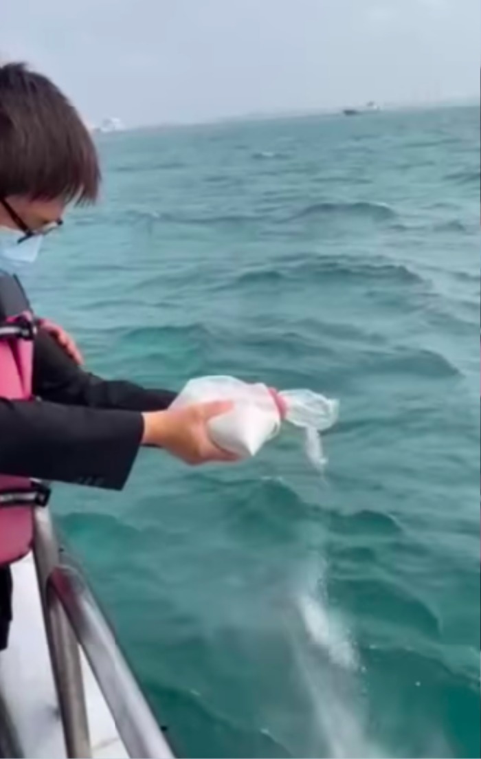 Con trai của cố nhạc sĩ đã rải tro cốt theo ý nguyện của bố mình