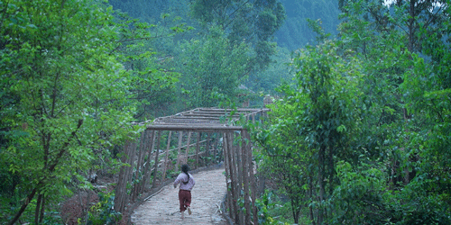 Mỗi khung cảnh được Lý Tử Thất quay đều rất thanh bình