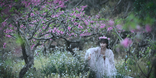 Một cảnh tượng như trên tiên giới của Lý Tử Thất