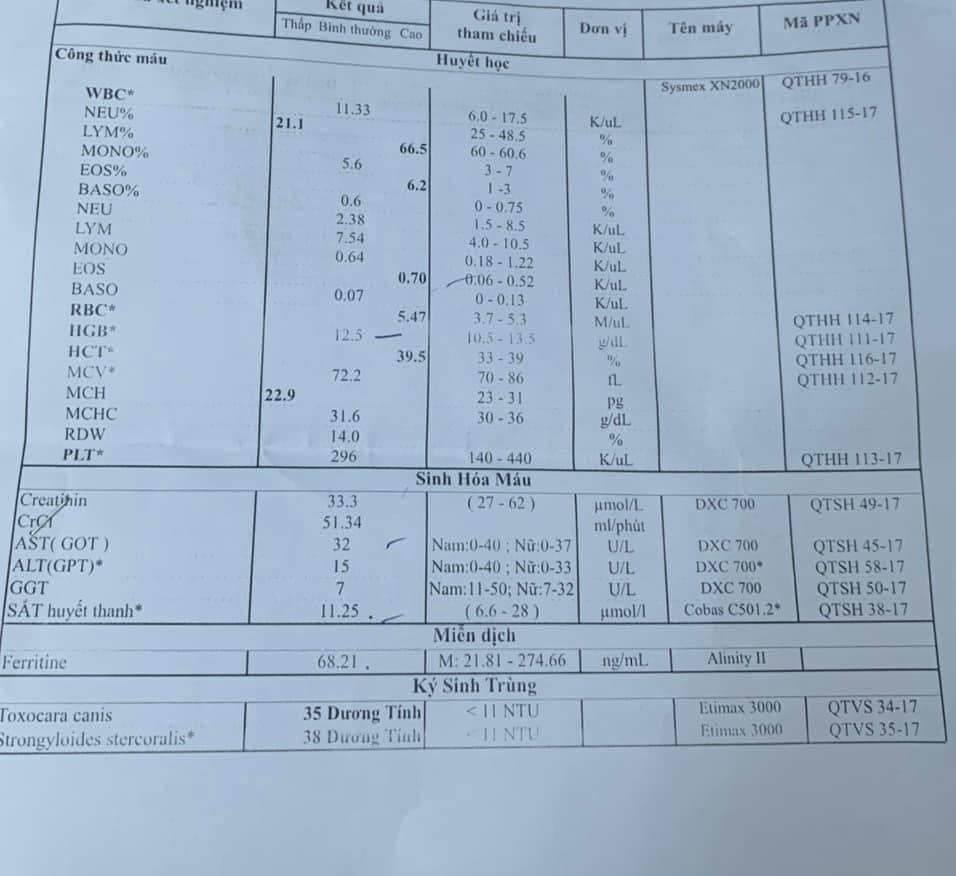 Kết quả xét nghiệm máu em bé 15 tháng tuổi dương tính với ký sinh trùng.