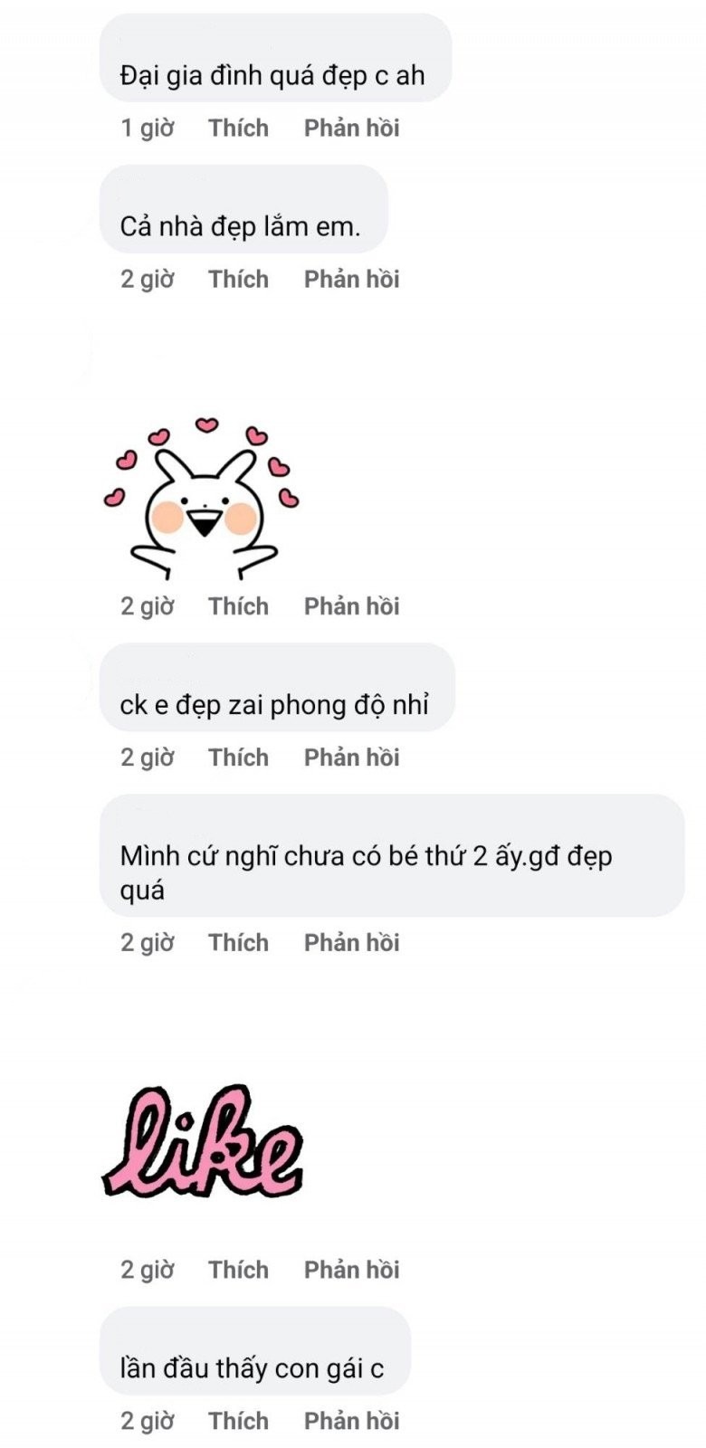 Dân mạng bất ngờ khi cho rằng đây là con gái thứ 2 của Lã Thanh Huyền.