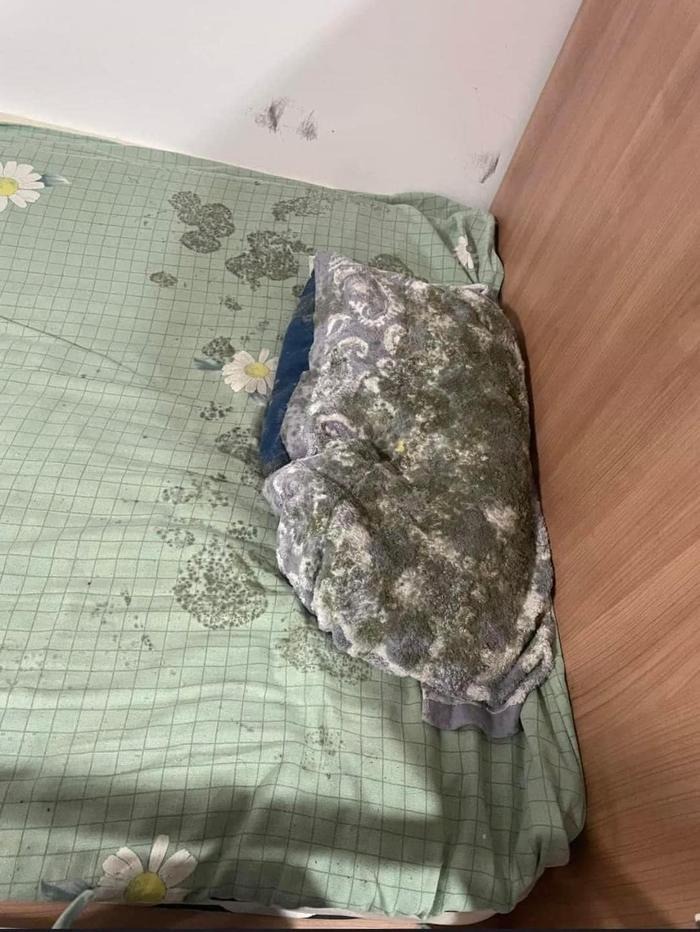 Chăn gối ẩm mốc nhưng sinh viên nọ vẫn có thể ngủ ngon lành trên chiếc giường ấy