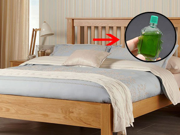 mùa đông, giảm ho, dầu gió