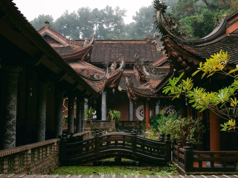 Giữa bộn bề cuộc sống, nếu bạn đang muốn đi tìm một chốn bình yên, thanh tịnh thì hãy thử ghé ngôi chùa nằm trong rừng thông xanh ở Hà Nam mang tên Địa Tạng Phi Lai Tự. (Ảnh: Nguyễn Thu Hằng)