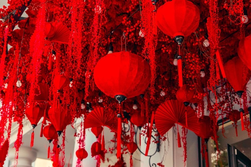 Đoàn Di Băng bày tỏ: 