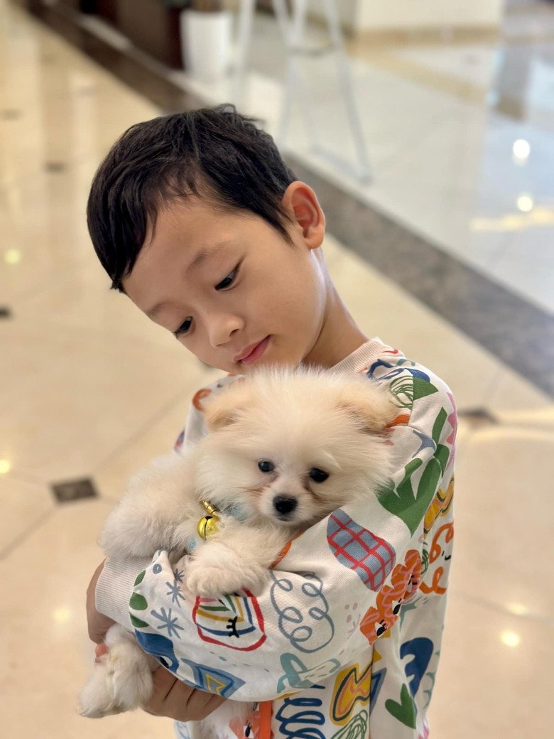 Bé Khoai Tây năm nay 7 tuổi, trổ nét điển trai thấy rõ.