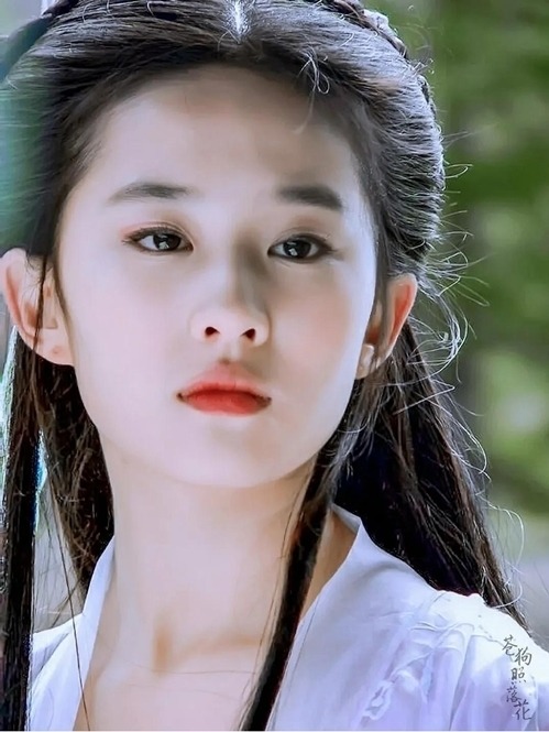 Bản thân nhà văn Kim Dung cũng rất tâm đắc trước Tiểu Long Nữ của Lưu Diệc Phi và hết lời khen ngợi: 