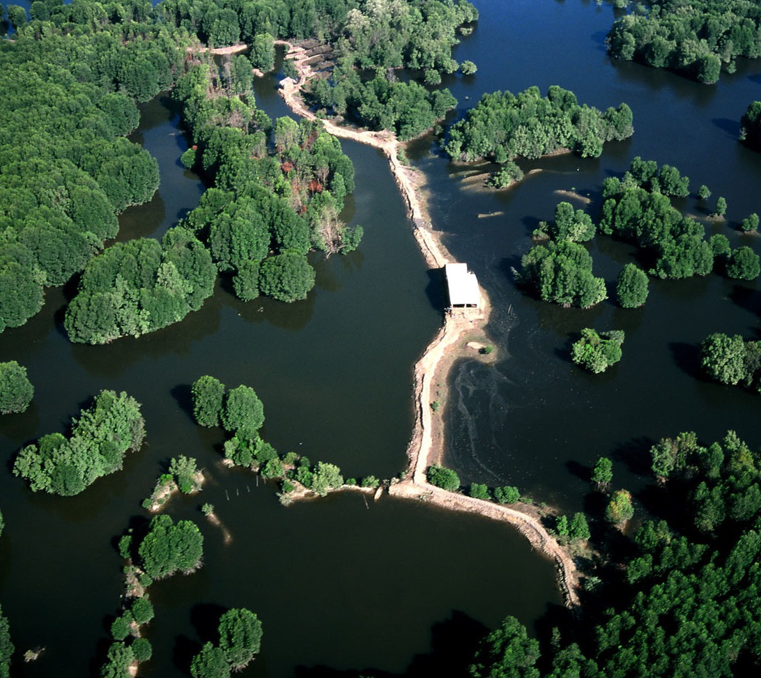 Rừng Sác xanh mát đầy thú vị