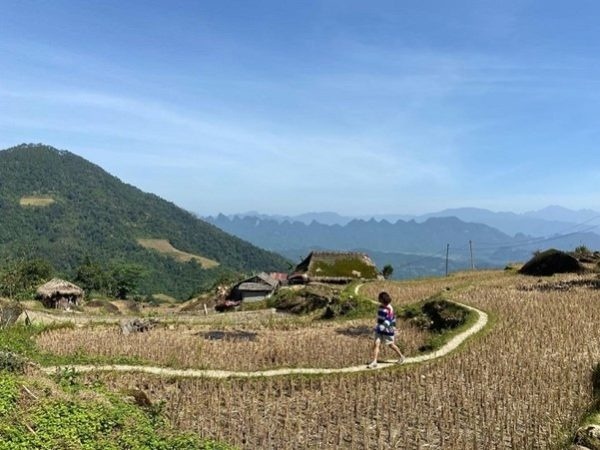 Ở thôn đã phát triển du lịch với nhiều homestay cho du khách lưu trú.