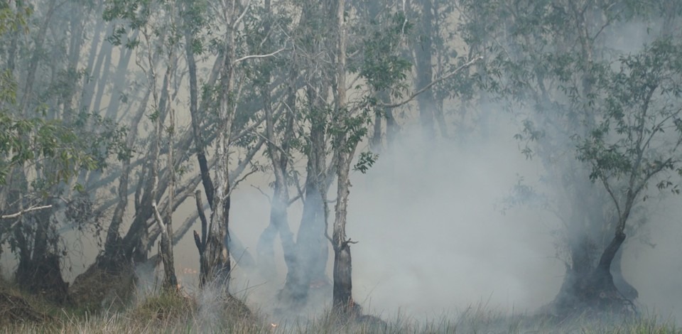 Ước tính ban đầu, diện tích bị cháy khoảng 20 ha.