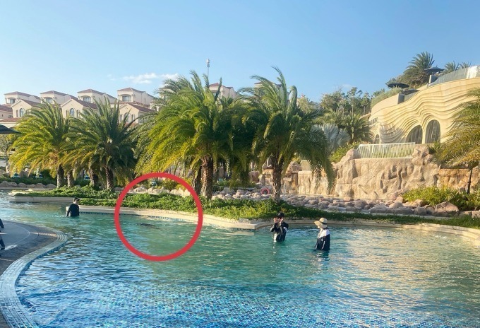 Vị trí bé trai người Nhật tử vong. Ảnh: VnExpress