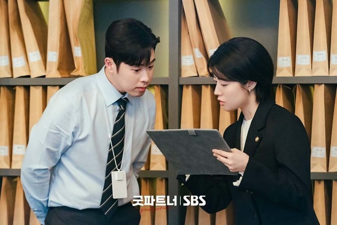 Ngoài hai nữ chính, Cộng sự hoàn hảo còn có sự góp mặt của 2 diễn viên tài năng khác trong làng phim Hàn với vai nam chính là Kim Joon Han và Pyo Ji Hoon.