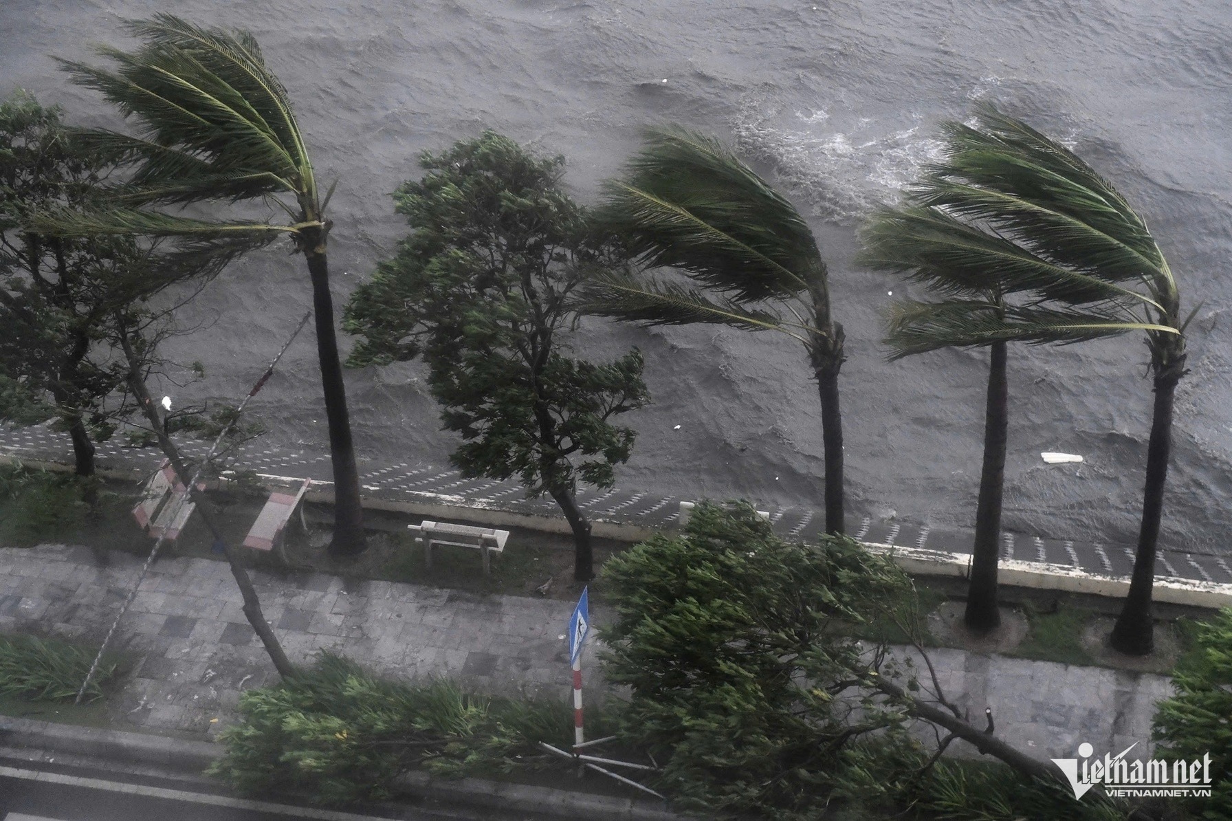 Mưa kèm gió giật rất mạnh tại TP Hạ Long. Ảnh: Thạch Thảo
