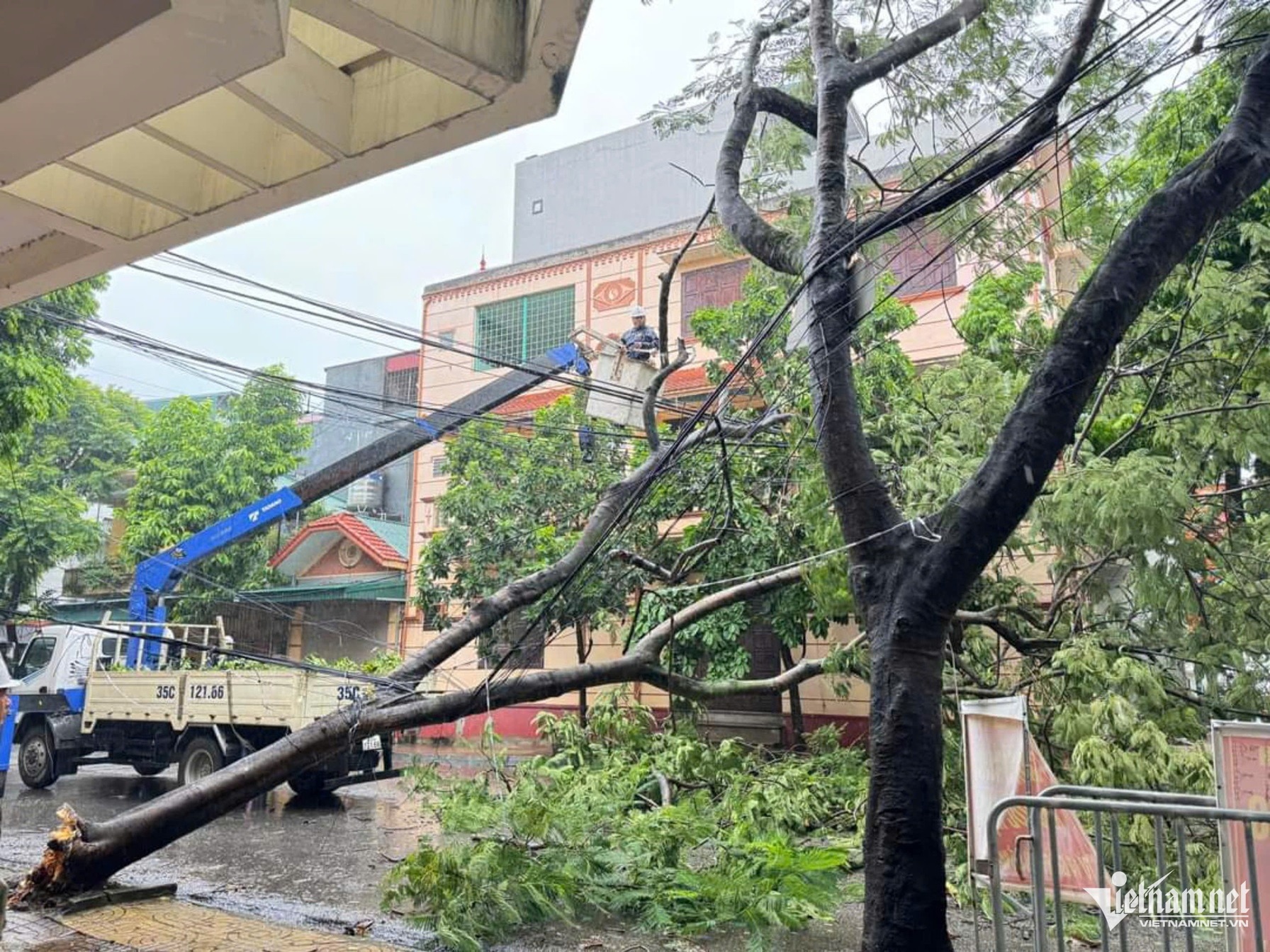 Ảnh: Trần Nghị