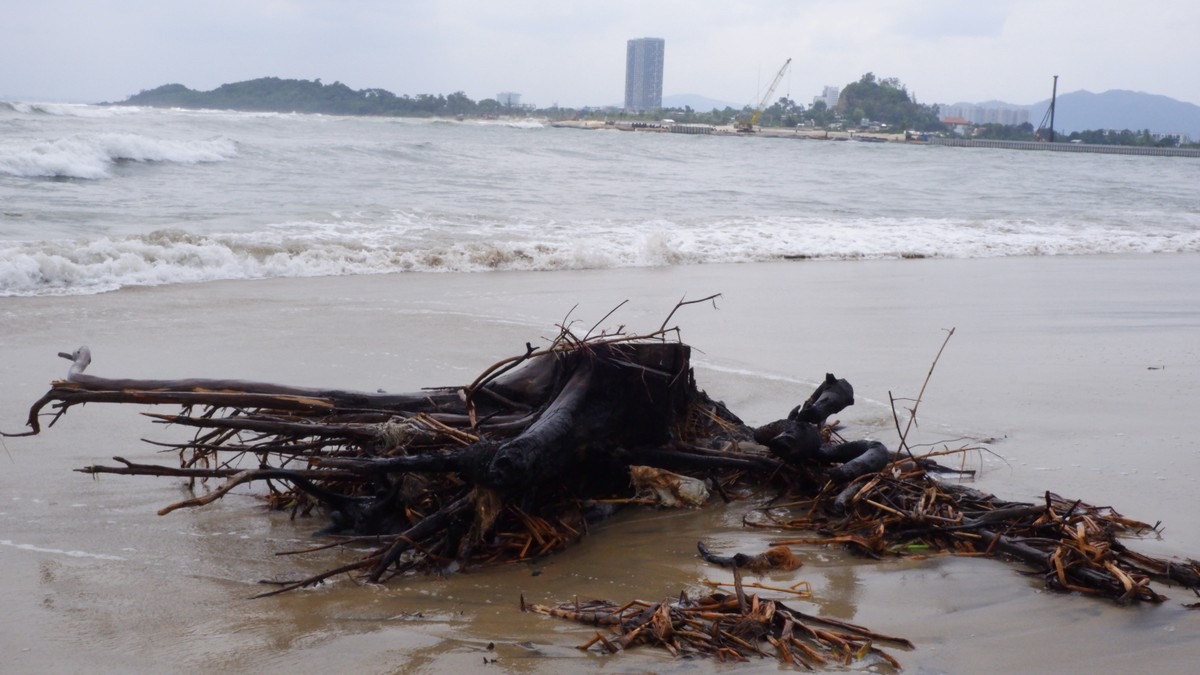 UBND phường Hòa Hiệp Bắc cho biết: Đã có văn bản báo cáo quận Liên Chiểu về việc bờ sông Cu Đê bị xâm thực nghiêm trọng do quá trình thi công dự án Khu du lịch sinh thái Nam Ô. Dự án Công viên sinh thái và quảng trường ghềnh Nam Ô được triển khai theo Quyết định số 720 ngày 2/3/2020 của UBND TP Đà Nẵng. Đến ngày 6/12/2023 được UBND TP Đà Nẵng phê duyệt quy hoạch chi tiết tỷ lệ 1/500 tại Quyết định số 2668/QĐ-UBND.