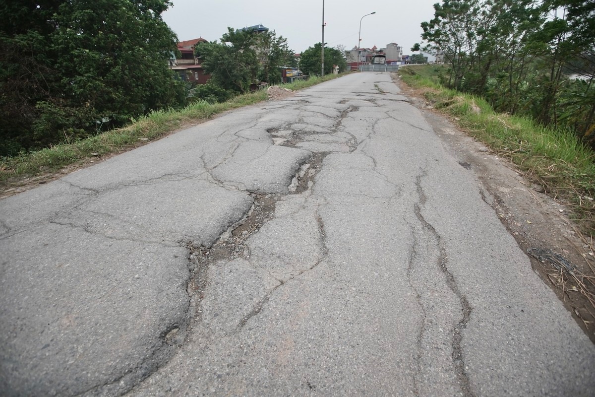 Mặt đê Yên Nghĩa xuất hiện nhiều sống trâu.