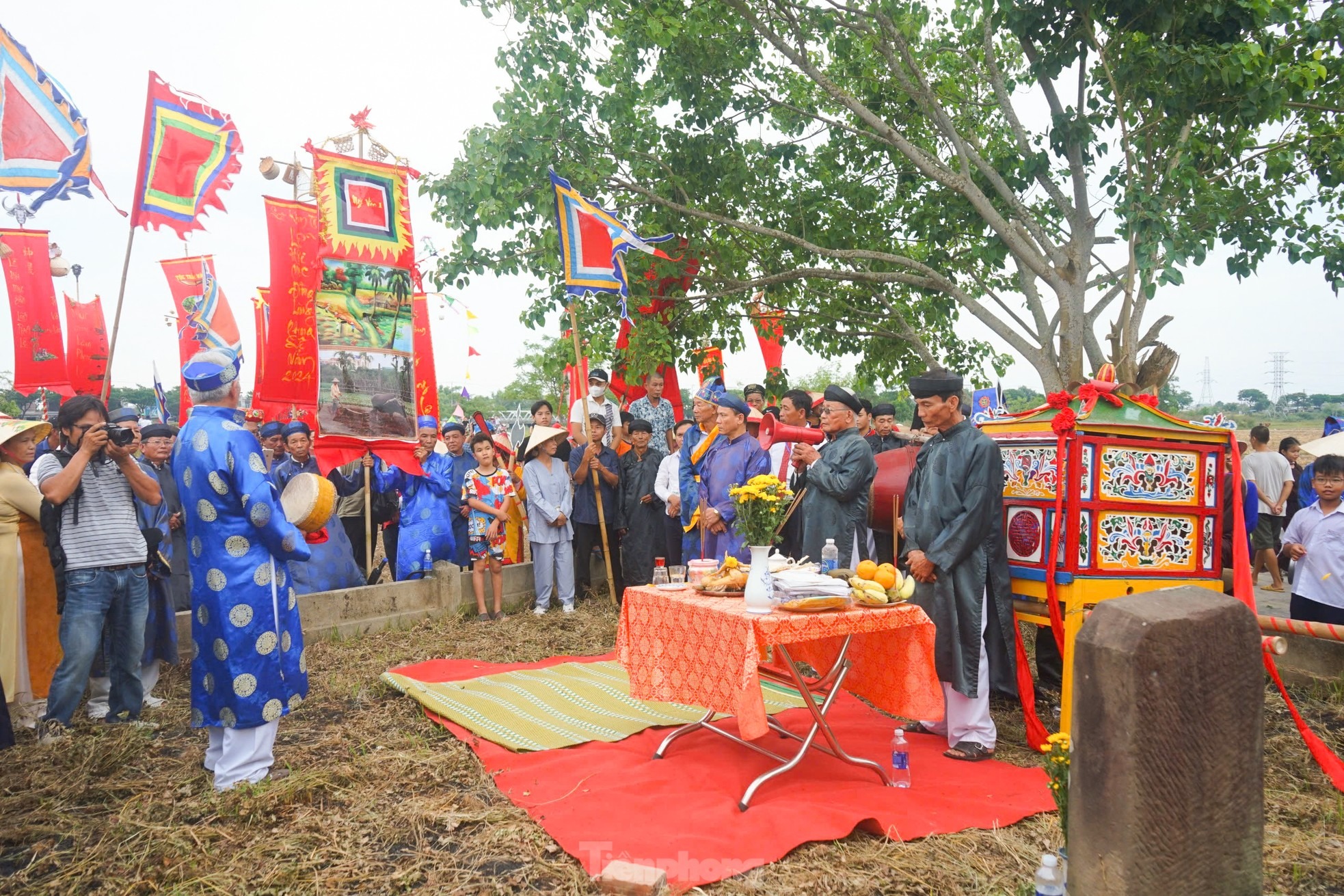 Ở làng Phong Lệ có nghi lễ rước Thần Nông do các mục đồng trong làng thực hiện với tên gọi lễ hội Mục đồng. Đến nay, lễ hội này vẫn tiếp tục được người dân ở đây duy trì đều đặn qua các năm, trở thành một lễ hội văn hóa độc đáo, riêng có của miền quê này.