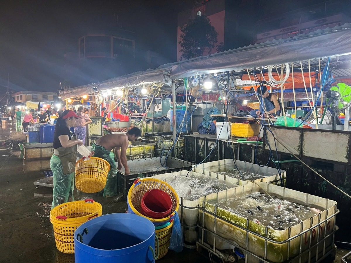 Việc để một chợ đầu mối hoạt động trong khu dân cư như hiện nay là không phù hợp vì ảnh hưởng rất nhiều đến người dân. Người dân nơi đây mong muốn chợ sớm được di dời bố trí đến một địa điểm khác để không ảnh hưởng đến dân cư. 