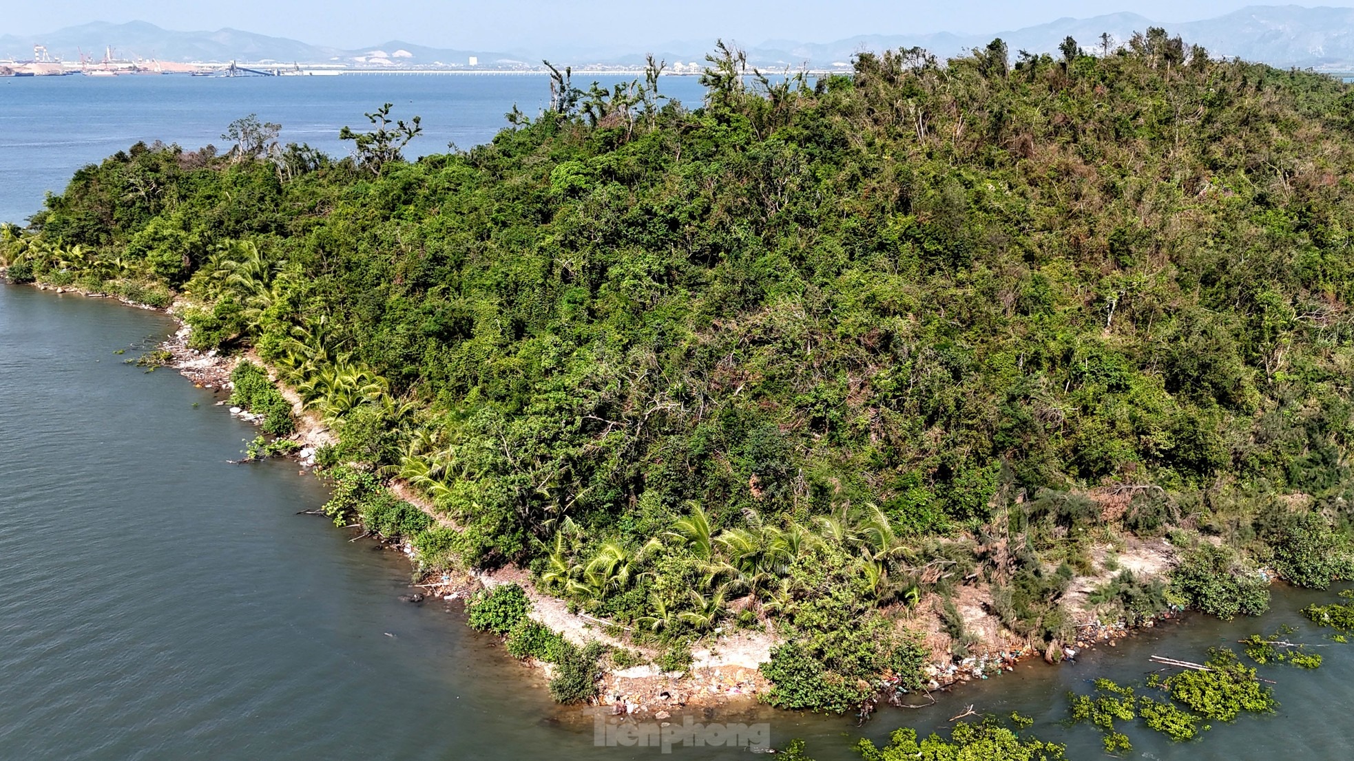 Mới đây nhất, TP Hạ Long công bố quy hoạch sử dụng đất, trong đó, phần lớn diện tích đất trên đảo Hòn Gạc được UBND tỉnh Quảng Ninh giao cho công ty này năm 2007 nay phải đổi thành đất cây xanh lâm viên (khoảng 75%); phần còn lại (khoảng 4,53ha) là đất dịch vụ du lịch, đất thương mại.