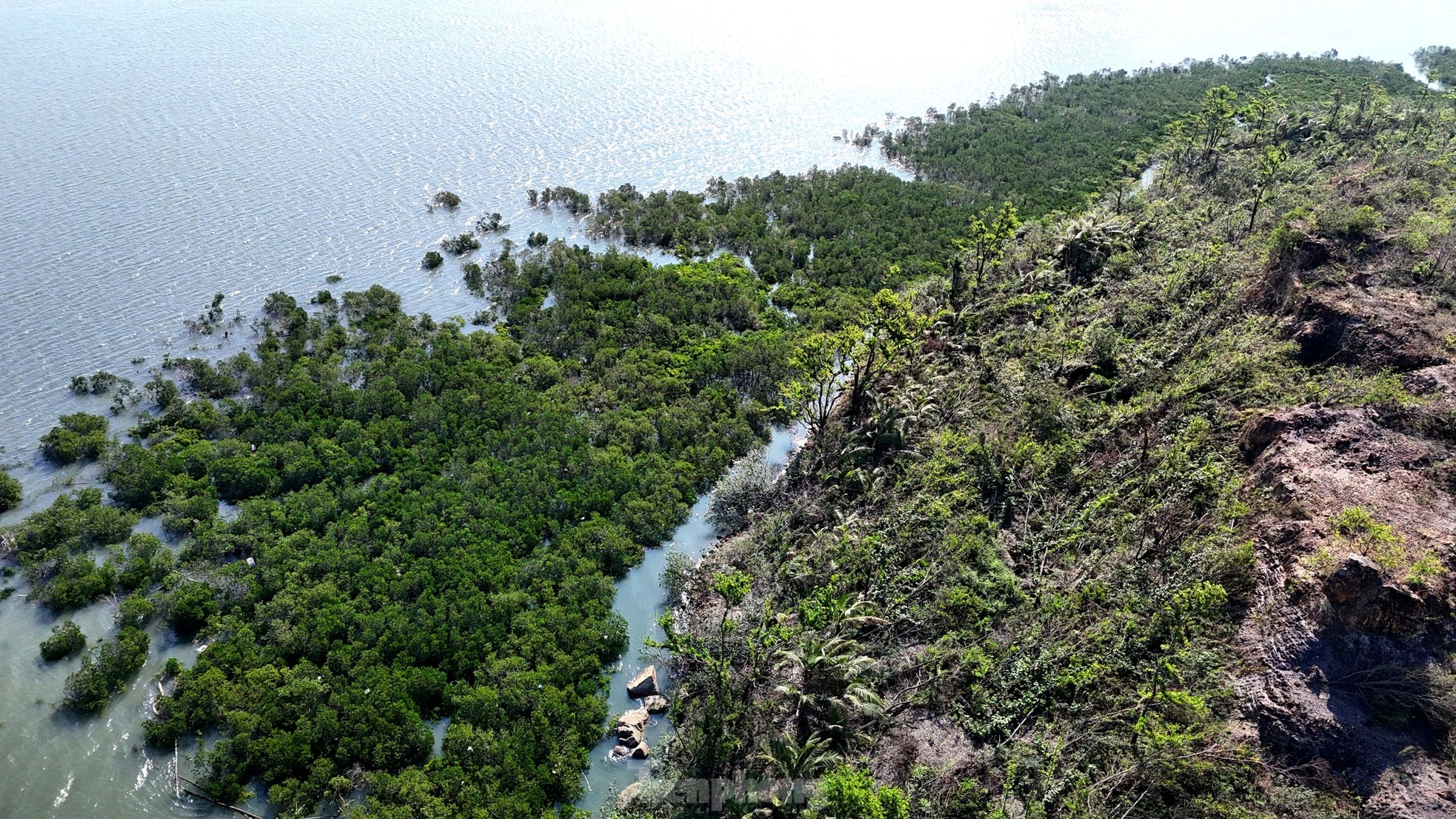 Nhưng phía Công ty CP Tập đoàn INDEVCO khẳng định, số tiền hơn 21 tỉ đồng mà công ty trả một lần vào năm 2007 là để thuê diện tích đất làm thương mại, dịch vụ và du lịch theo quy hoạch chi tiết là khoảng 15,2ha và không có diện tích đất quy hoạch lâm nghiệp thì mới đủ điều kiện để xây dựng một khu du lịch sinh thái.