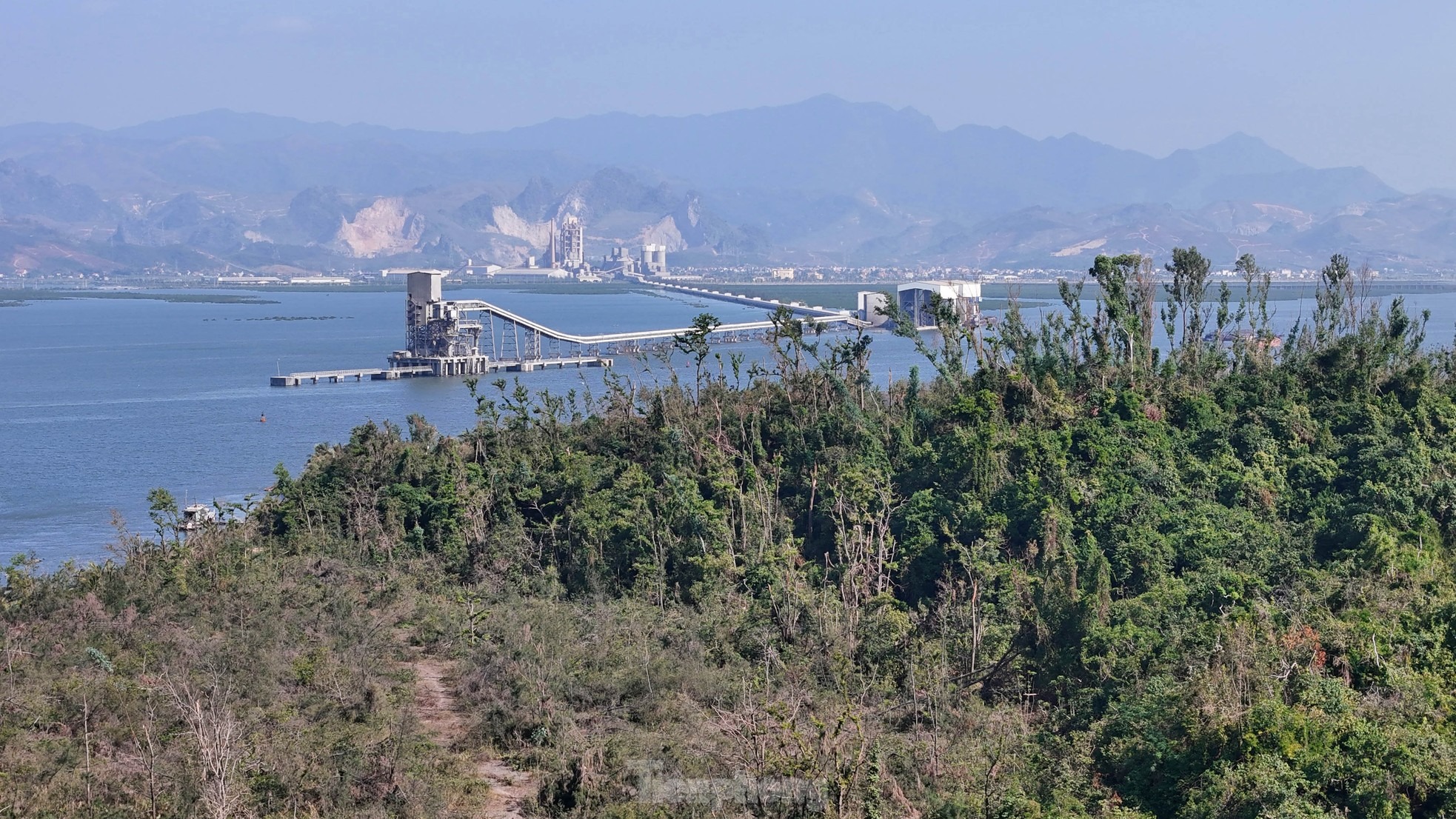 Theo quyết định phê duyệt Dự án Khu du lịch sinh thái đảo Hòn Gạc, công ty này sẽ đầu tư các công trình, gồm: Khách sạn 7 tầng, sân bay trực thăng, bãi tắm, vườn mê cung, bảo tàng sinh vật biển, công viên vui chơi cảm giác mạnh, bến du thuyền, khán đài nhạc nước, khu chợ quê, khu nhà hàng ven biển, nhà nghỉ ven đồi, quảng trường, bãi đá…