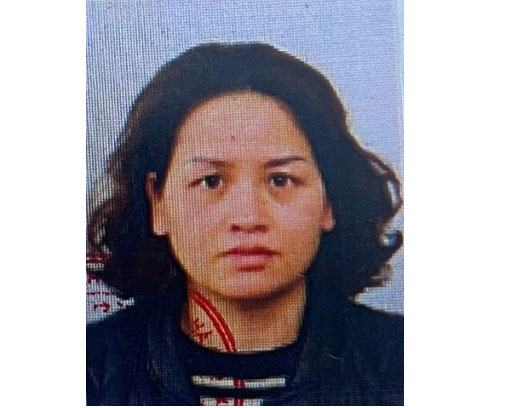 Đối tượng Lại Thị Hằng. Ảnh: CQCA