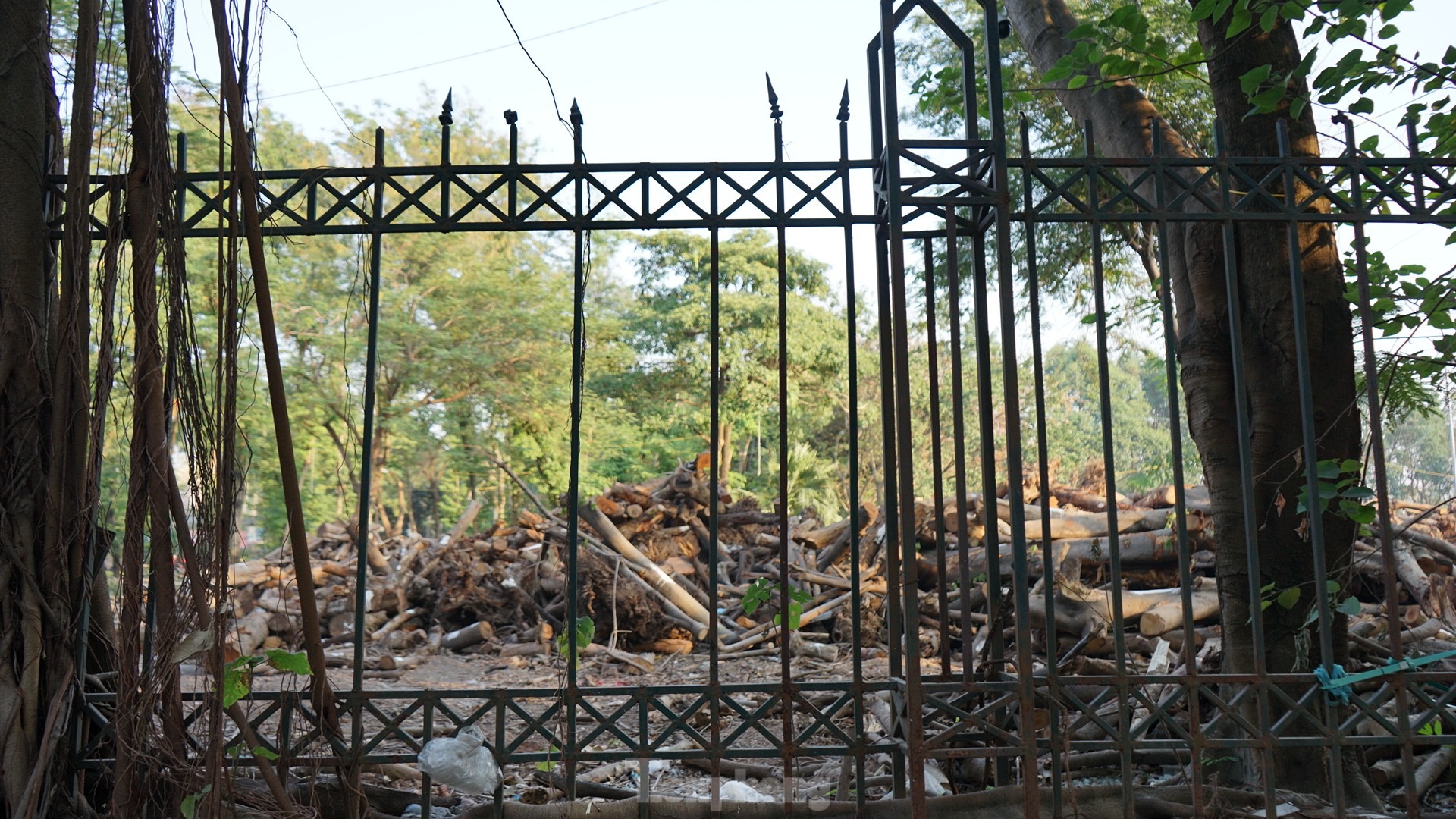 Dự kiến sau khi cải tạo vỉa hè, UBND quận Hai Bà Trưng tiếp tục cho hạ rào công viên Tuổi trẻ nhằm mang đến một công viên mở phục vụ người dân.