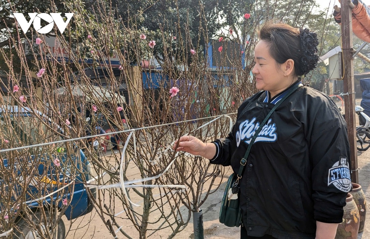 Chị Lan Anh (quê ở Lạng Sơn), từng có “thâm niên” bán hoa đào 17 năm tại chợ Quảng An cho biết, tại đây, ngoài hoa đào Nhật Tân, chị còn mang đào từ Lạng Sơn về Thủ đô bán để tạo sự tươi mới cho người dân Thủ đô và giúp họ có nhiều sự lựa chọn trong ngày Tết. Hoa đào Lạng Sơn có đặc điểm, hoa tươi, bền, dày cánh và đẹp, được nhiều người ưa chuộng. Lượng khách mua loại hoa càng ngày càng tăng. Mọi năm chị bán từ giữa tháng 12, nhưng năm nay bán sớm hơn mọi năm nửa tháng để phục vụ nhu cầu chơi hoa của người dân Hà Nội.