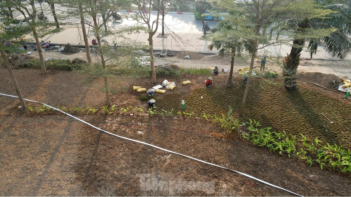Thảm cỏ mới và cây xanh được trồng mới và cắt tỉa. Được biết, trên công trường hiện tại có khoảng gần 150 công nhân cùng hàng chục máy móc (thuộc 3 nhà thầu) đang thi công tại đây.