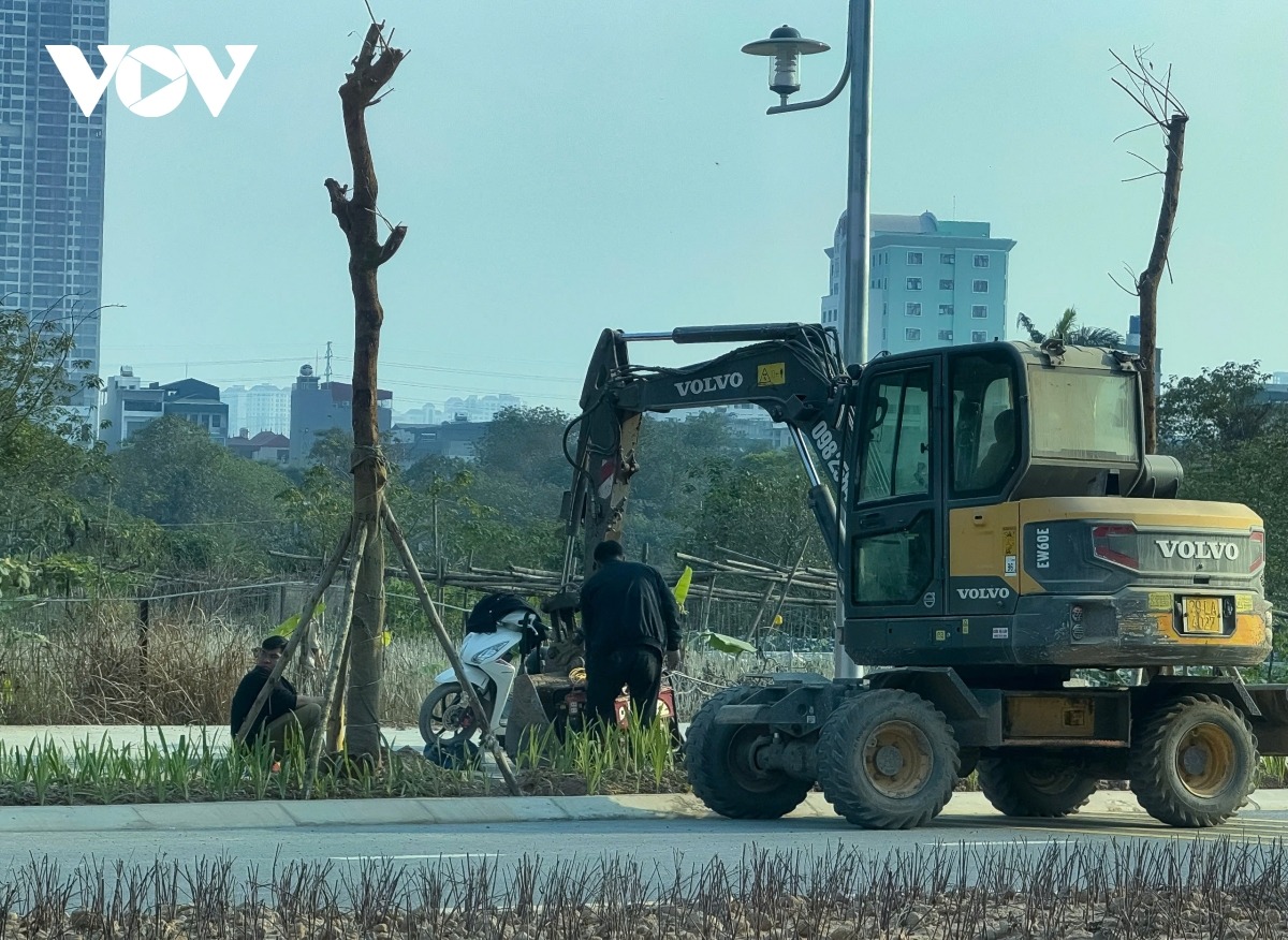 Cây xanh, điện chiếu sáng và các hạng mục phụ trợ đang được khẩn trương hoàn thiện.