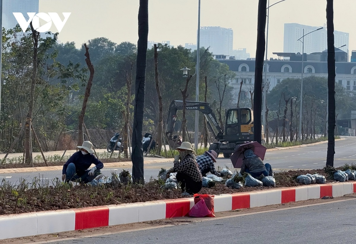 Đoạn giao cắt Đại lộ Thăng Long đến phố Đại Linh (phường Mễ Trì) có chiều dài khoảng 1km đã được lát đá vỉa hè...