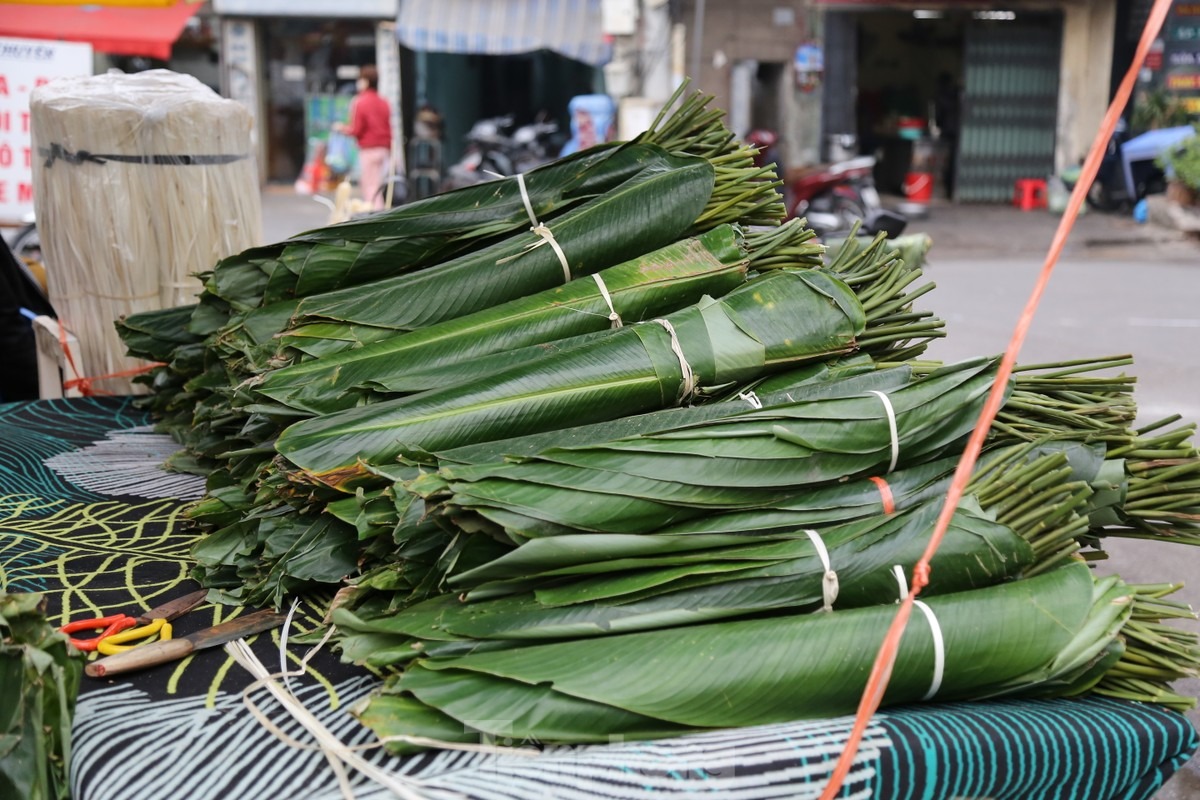 Chợ Trần Quý Cáp cung cấp các loại lá dong đủ các kích thước từ nhỏ đến lớn nhằm đáp ứng nhu cầu khác nhau của khách hàng. Lá dong rừng có nguồn gốc từ các tỉnh Lào Cai, Tuyên Quang, lá dong quê được nhập từ Thanh Oai (Hà Nội), Phủ Lý (Hà Nam)...