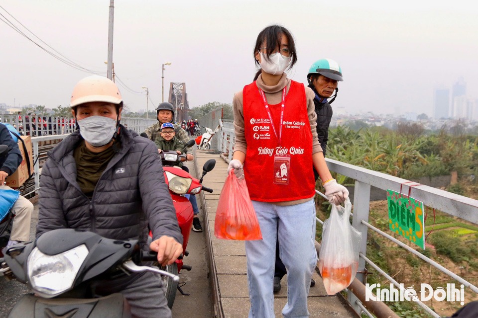  Tới điểm thả cá trên cầu Long Biên, các tình nguyện viên của nhóm Cá Chép làm nhiệm vụ giúp đỡ mọi người thả cá tiếp xúc gần mặt nước và thu gom giấy rác, túi nilon.