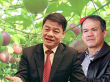 Ảnh minh họa