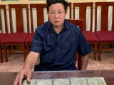 Ảnh minh họa