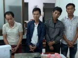 Ảnh minh họa