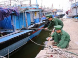 Ảnh minh họa
