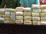 Ảnh minh họa