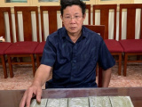 Ảnh minh họa