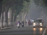 Ảnh minh họa