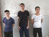 Ảnh minh họa