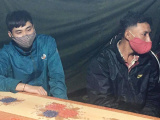 Ảnh minh họa