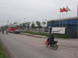 Ảnh minh họa